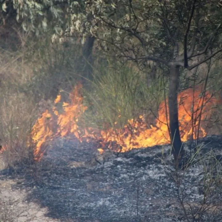 Incendi Calabria, a Cirò arbusti e macchia mediterranea prendono fuoco: evacuate alcune abitazioni