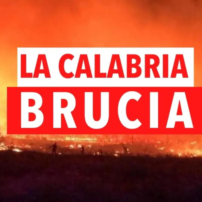 Incendi in Calabria, roghi dal Pollino allo Stretto: notizie e aggiornamenti in tempo reale -LIVE