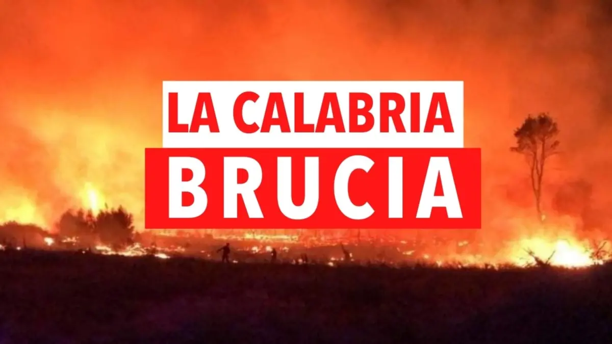 Incendi in Calabria, roghi dal Pollino allo Stretto: notizie e aggiornamenti in tempo reale -LIVE