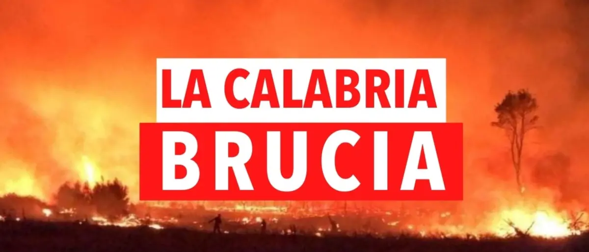 Incendi in Calabria, roghi dal Pollino allo Stretto: notizie e aggiornamenti in tempo reale -LIVE