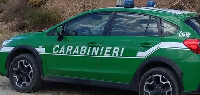 Incendio nei boschi del Crotonese causato da lavori con una smerigliatrice, due denunce