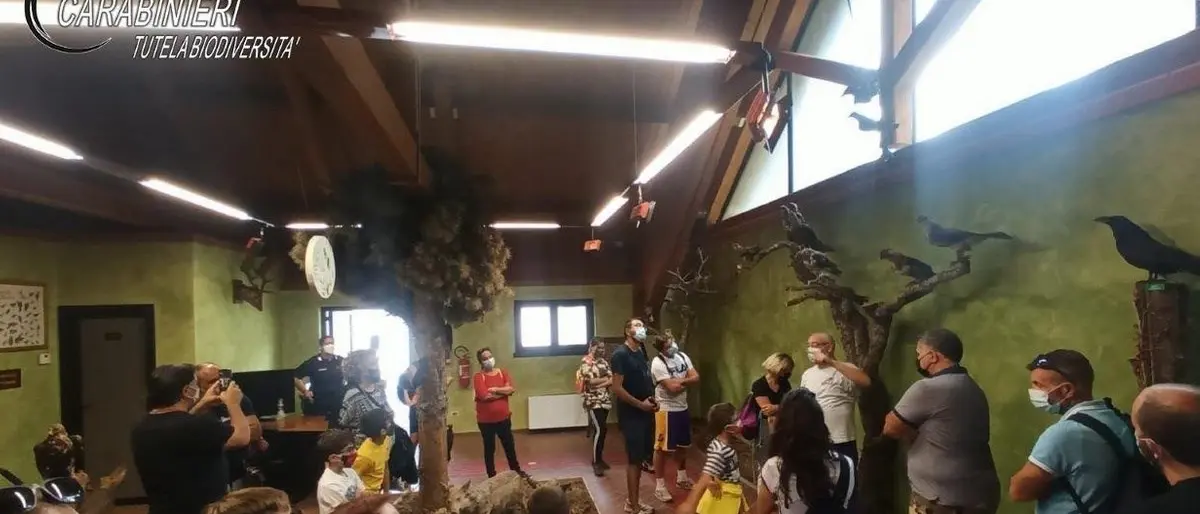 Cosenza, successo per la notte della Biodiversità dei Carabinieri con oltre 500 visitatori