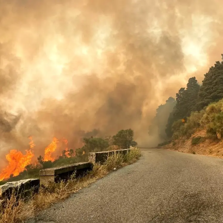 Incendi, Occhiuto: «Se ne discuterà nel prossimo Consiglio dei ministri. Alla Calabria servono risposte»