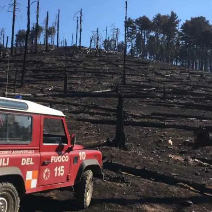 Incendi nel Reggino, spente le fiamme nell’area della diga del Menta