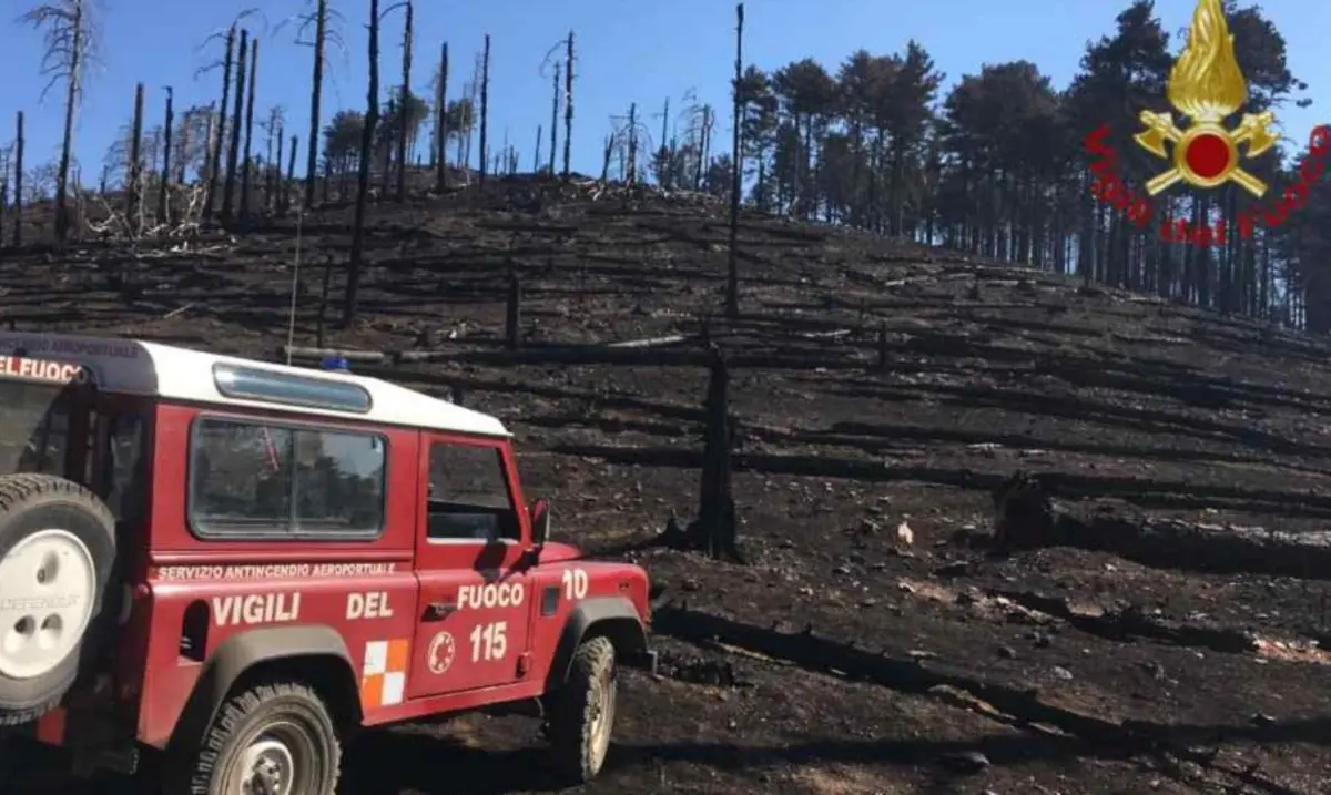 Incendi nel Reggino, spente le fiamme nell’area della diga del Menta