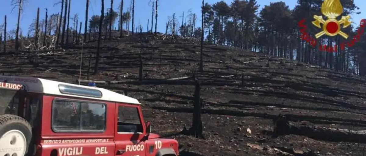 Incendi nel Reggino, spente le fiamme nell’area della diga del Menta