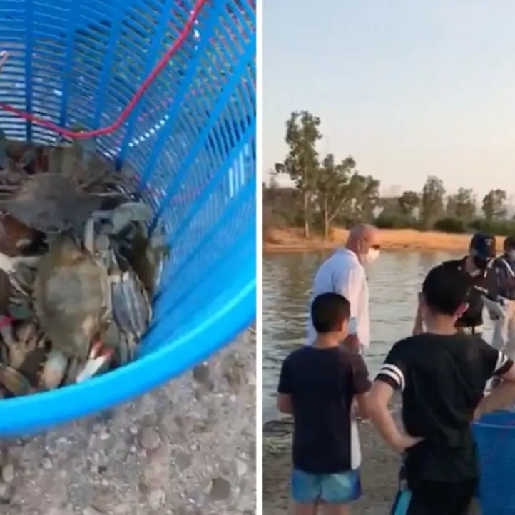 Pesca illegale di granchi nel canale degli Stombi nel Cosentino, raffica di multe