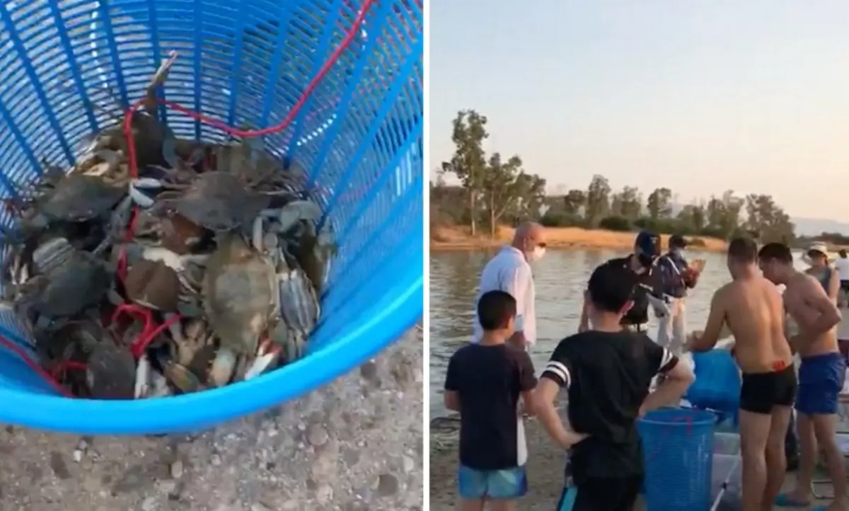 Pesca illegale di granchi nel canale degli Stombi nel Cosentino, raffica di multe