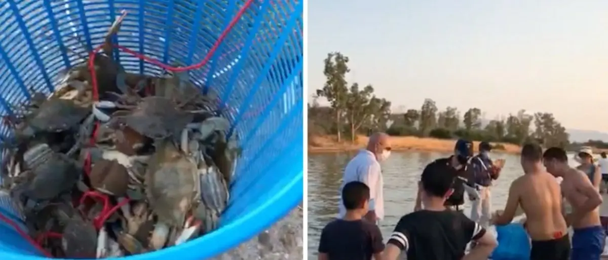 Pesca illegale di granchi nel canale degli Stombi nel Cosentino, raffica di multe