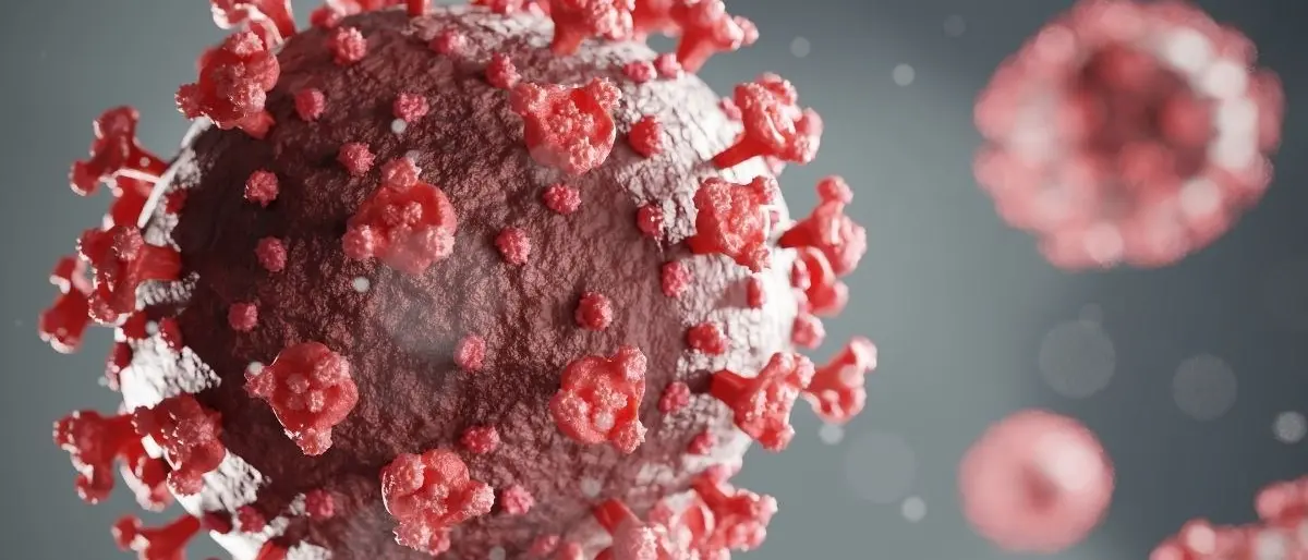 Nuovi farmaci e vaccini anti-Covid anche grazie ai ricercatori calabresi: «Bene i primi test»