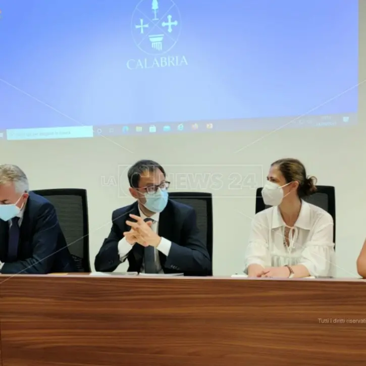 Incendi Calabria, i sindaci incontrano il ministro Patuanelli: «Servono interventi rapidi»