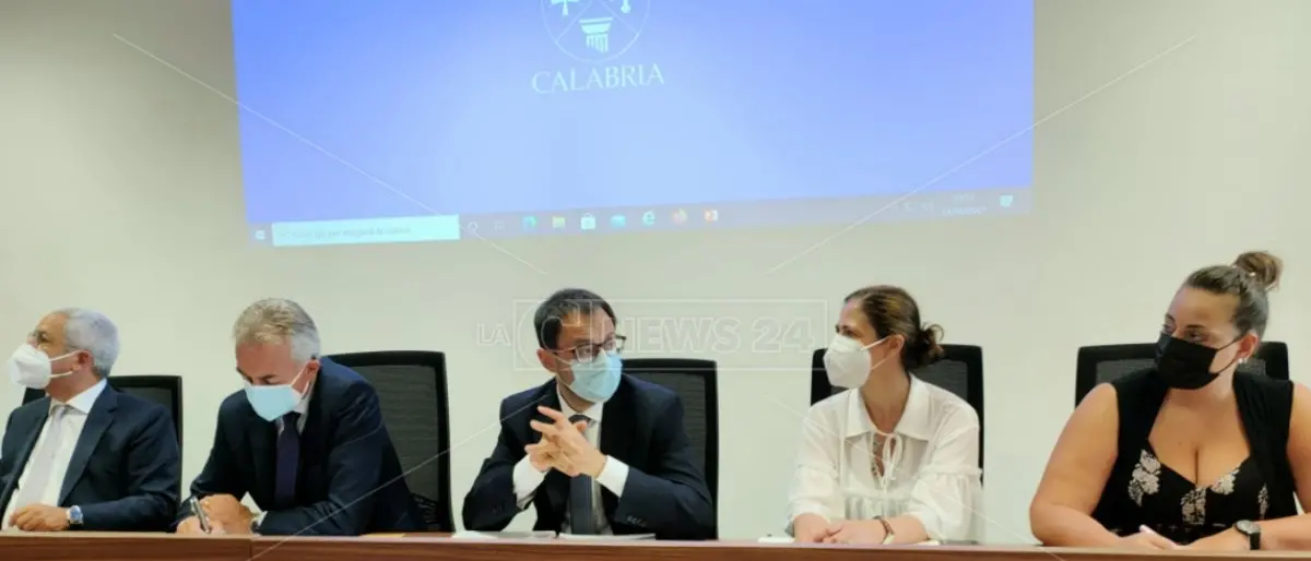 Incendi Calabria, i sindaci incontrano il ministro Patuanelli: «Servono interventi rapidi»