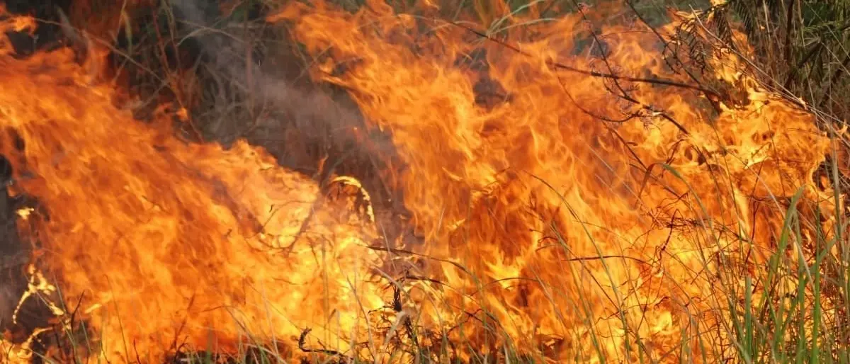 Longobucco, spento l’incendio che minacciava anche il Parco della Sila: era attivo dall’8 agosto