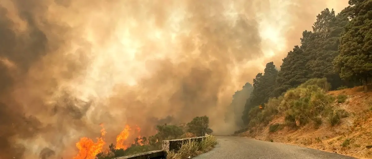 Incendi e strade interrotte, Vono (Iv): «Stiamo monitorando, soluzioni al più presto»