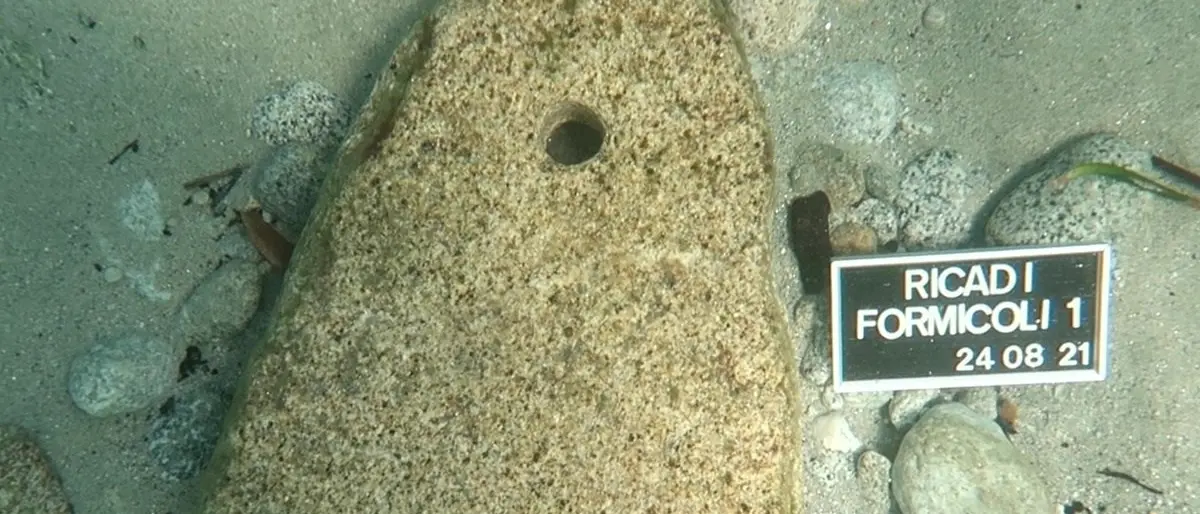 Ricadi, ritrovato antico reperto in fondo al mare in località Formicoli