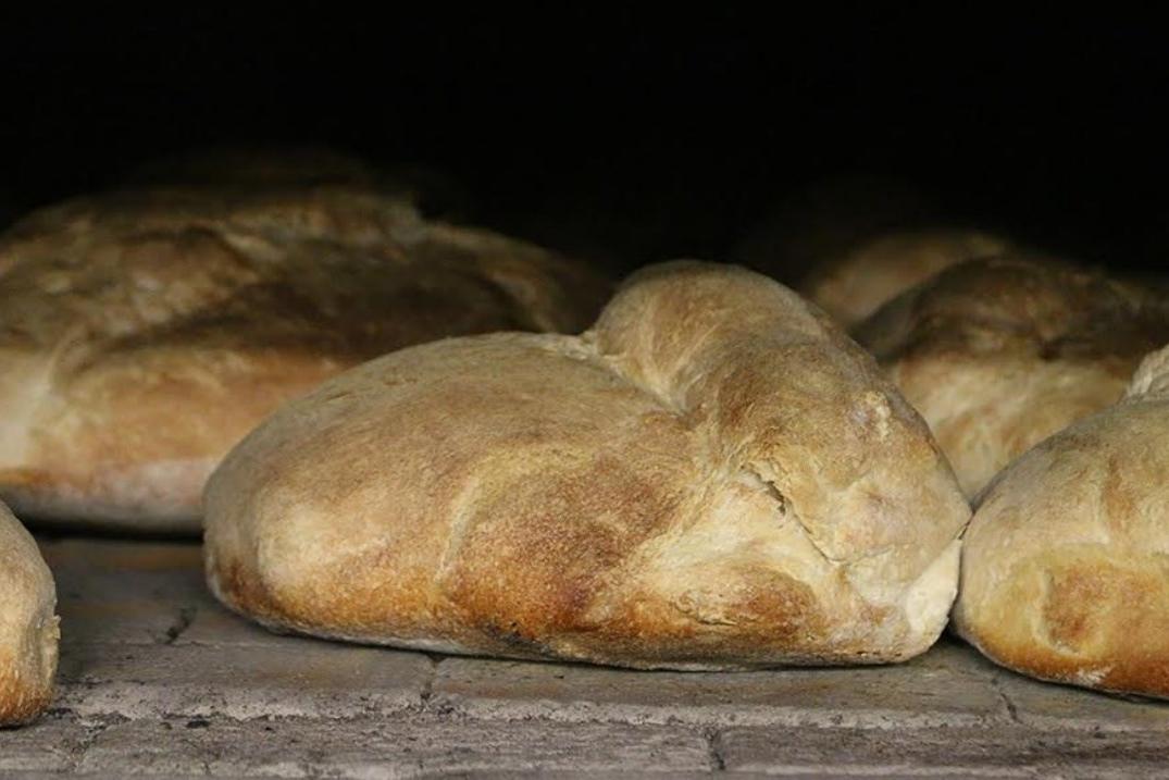 Pane, musica e degustazioni: a Cerchiara viaggio tra i sapori di Calabria
