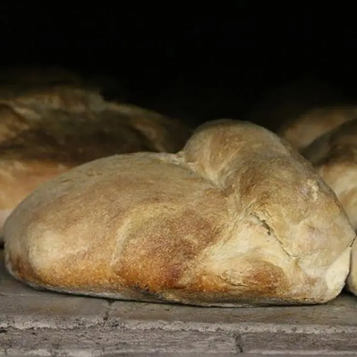 Pane, musica e degustazioni: a Cerchiara viaggio tra i sapori di Calabria