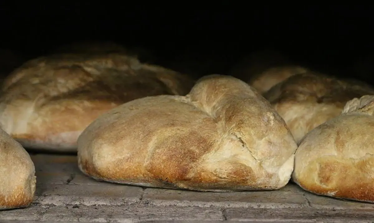 Pane, musica e degustazioni: a Cerchiara viaggio tra i sapori di Calabria