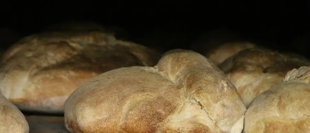 Pane, musica e degustazioni: a Cerchiara viaggio tra i sapori di Calabria