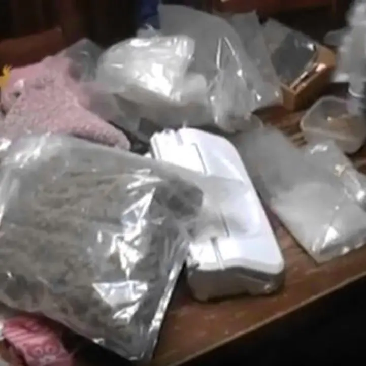 Quasi due tonnellate di marijuana sequestrate in un capannone: arrestato un pregiudicato di Rosarno