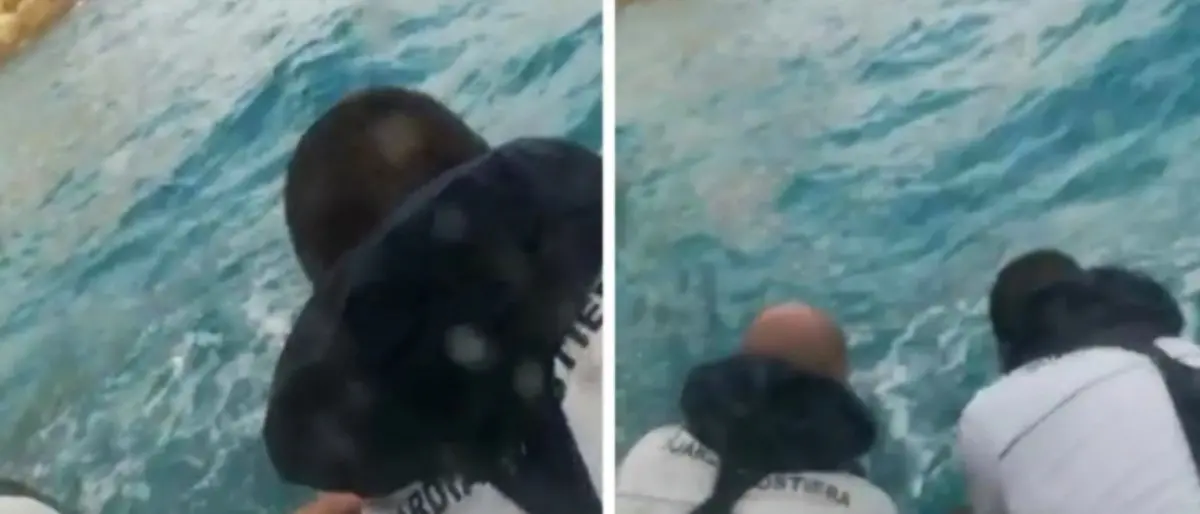 Restano intrappolati su uno scoglio a Capo Vaticano, turisti salvati dalla Guardia costiera