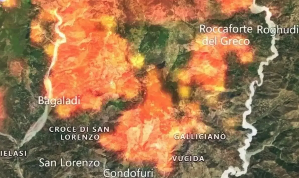 Incendi in Aspromonte, ecco quanti ettari di bosco ridotti in cenere