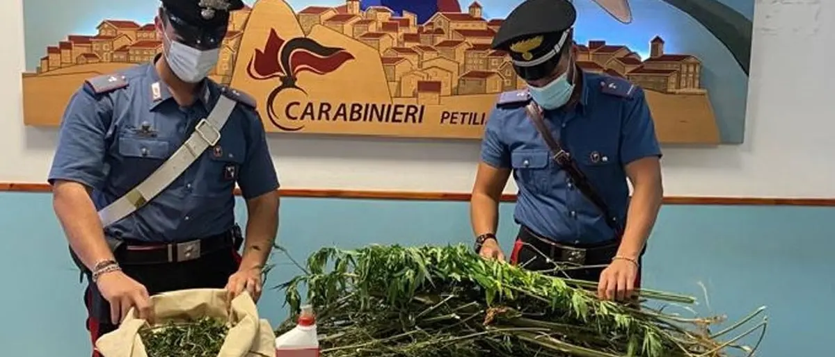 Arrestato 24enne crotonese per coltivazione e produzione di marijuana