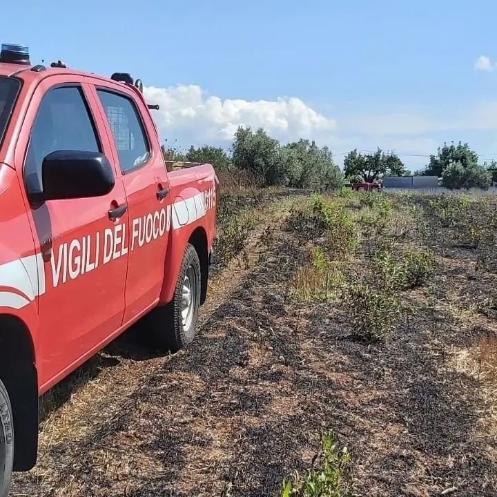 Incendio in un uliveto nel Vibonese: 93enne salvato dai Vigili del fuoco