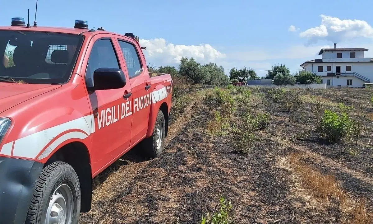 Incendio in un uliveto nel Vibonese: 93enne salvato dai Vigili del fuoco