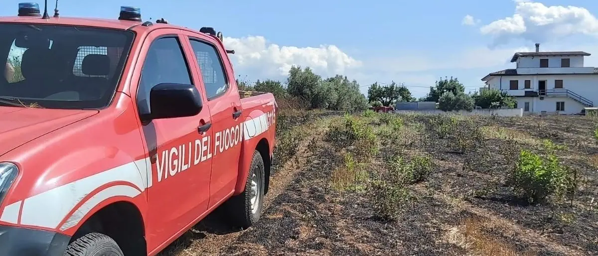 Incendio in un uliveto nel Vibonese: 93enne salvato dai Vigili del fuoco