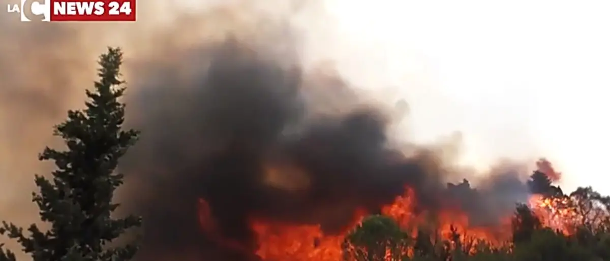 Dl incendi, via libera del Consiglio dei ministri: pene più serve per i piromani