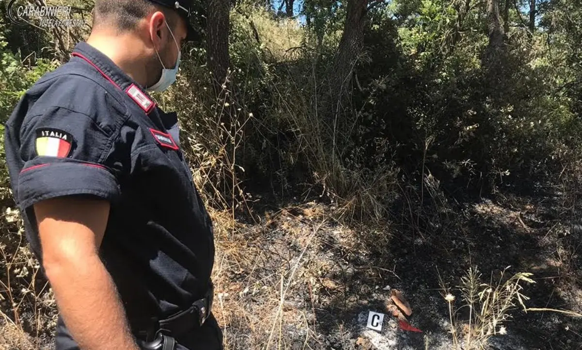 Pascolo abusivo su terra bruciata nel Cosentino: denunciati sindaco e comandante della Municipale