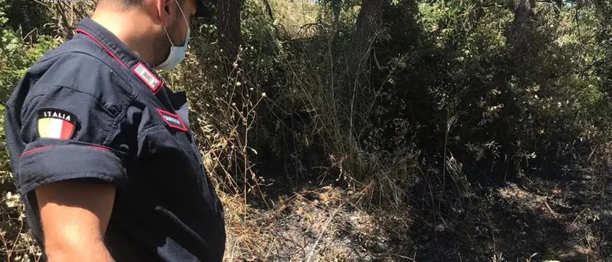 Pascolo abusivo su terra bruciata nel Cosentino: denunciati sindaco e comandante della Municipale