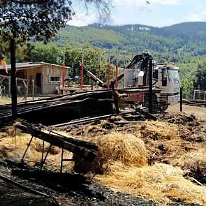 Incendio nel Vibonese, le fiamme danneggiano un’azienda agricola a Vallelonga
