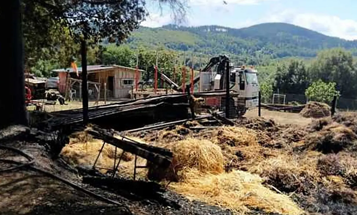 Incendio nel Vibonese, le fiamme danneggiano un’azienda agricola a Vallelonga