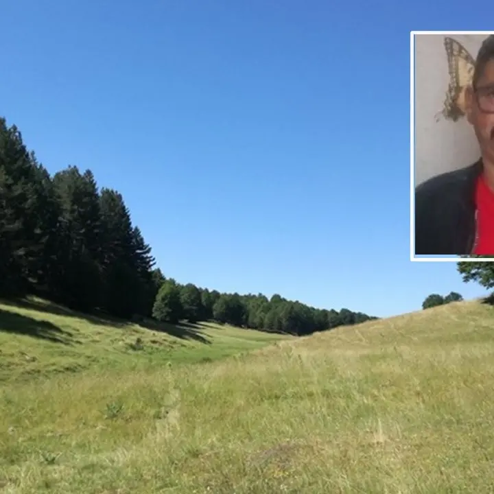 Ritrovato l’uomo scomparso nella Sila catanzarese mentre cercava funghi