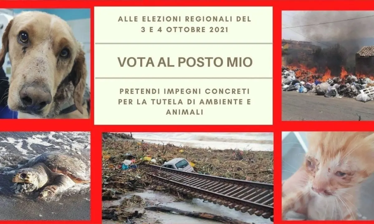 Vota al posto mio: la campagna delle associazioni ambientaliste rivolta alla politica regionale