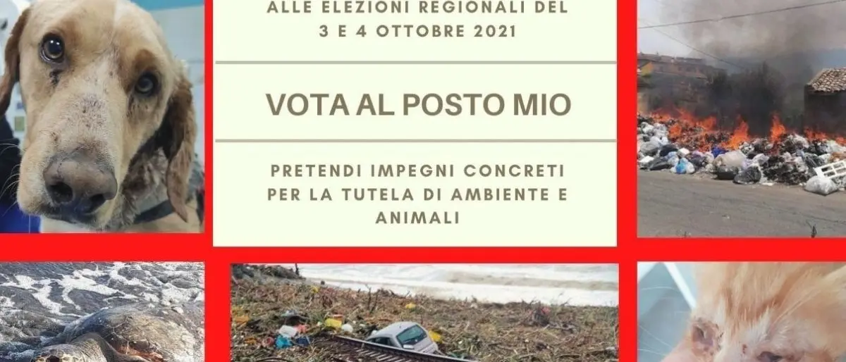 Vota al posto mio: la campagna delle associazioni ambientaliste rivolta alla politica regionale