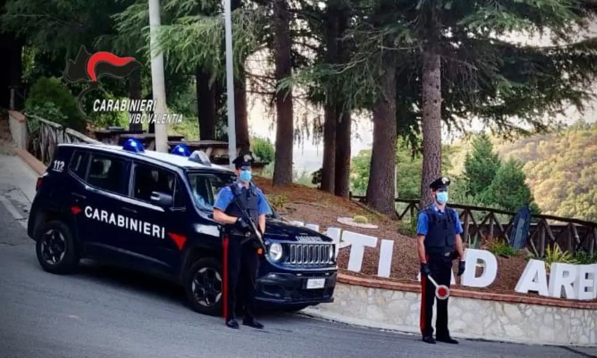 Calci e pugni al portone della caserma dei carabinieri: due arresti nel Vibonese