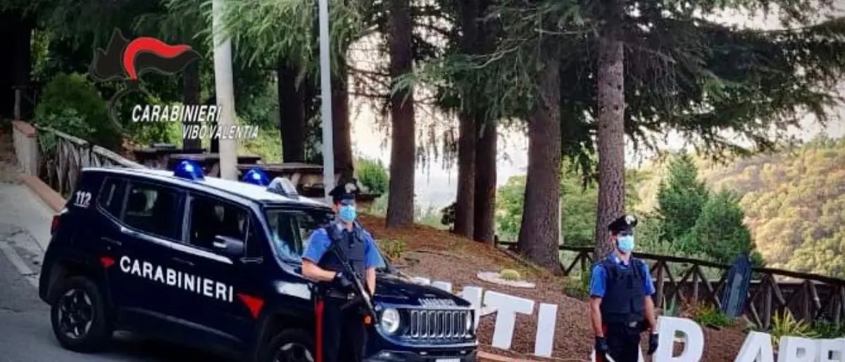 Calci e pugni al portone della caserma dei carabinieri: due arresti nel Vibonese