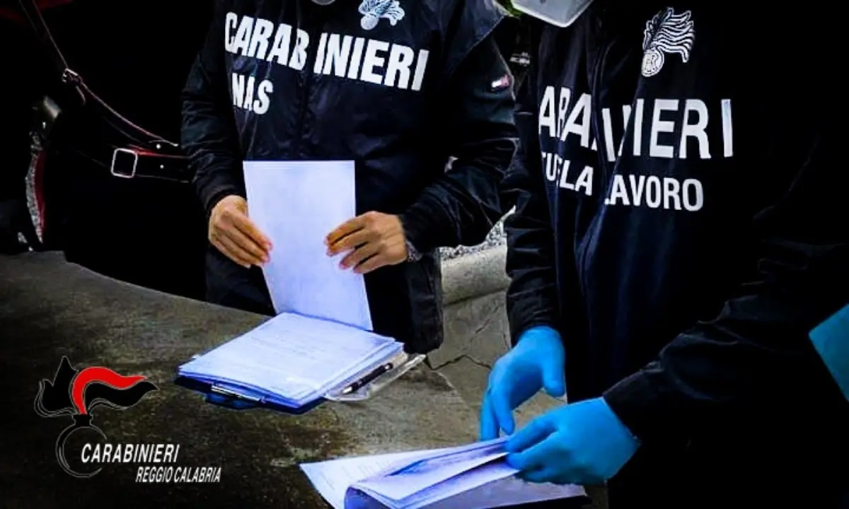 Frodi alimentari e sanità, nel Reggino sequestrati 800kg di carne e scoperto un centro benessere abusivo