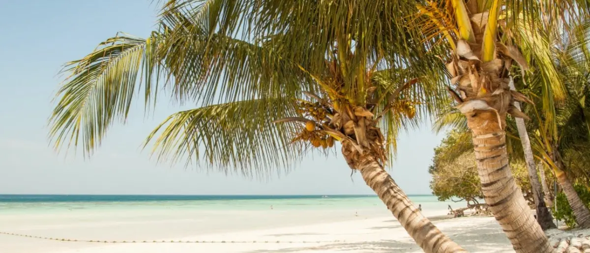 Capostazione in malattia da un anno e mezzo ma viveva alle Canarie e gestiva un b&b