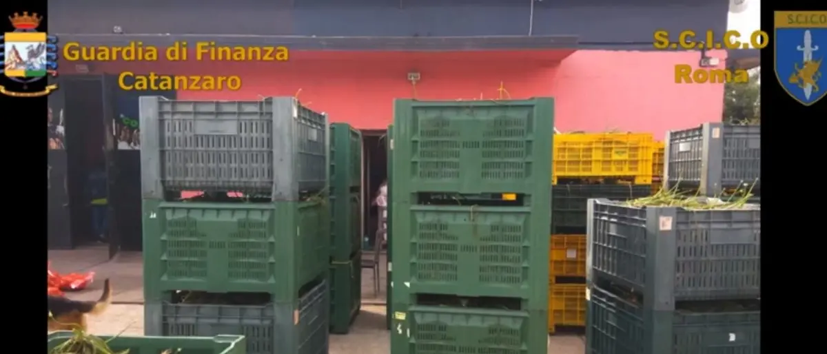 Crypto, al Porto di Gioia Tauro la droga estratta a bordo delle navi senza scaricare i contanier