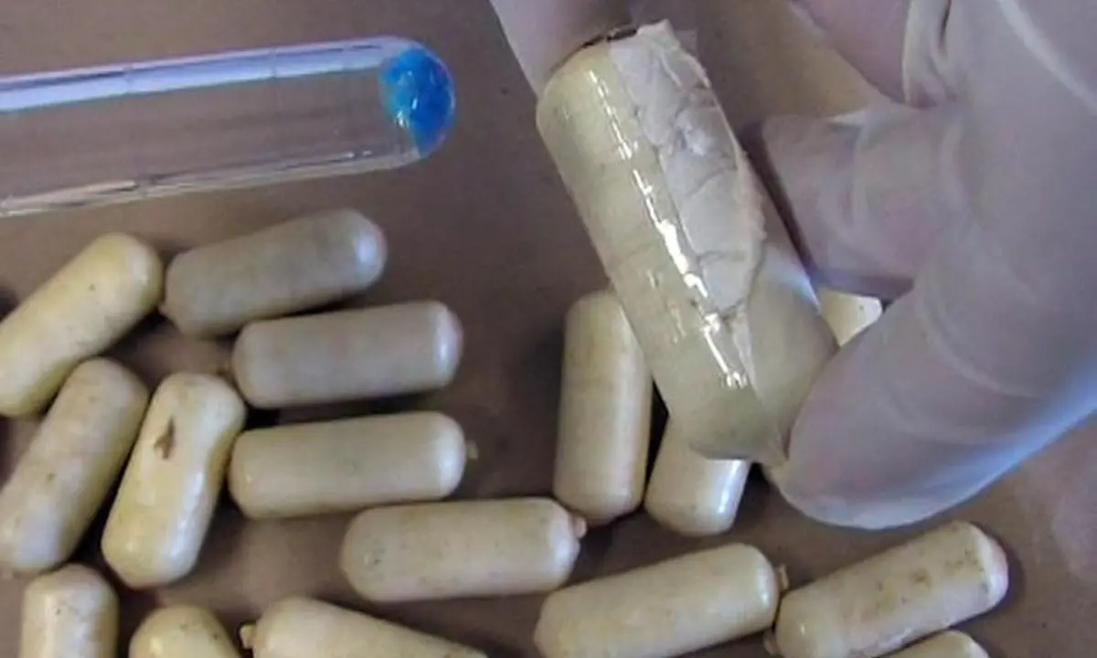 Tutte le news su operazione crypto - pagina 1 | LaC News24