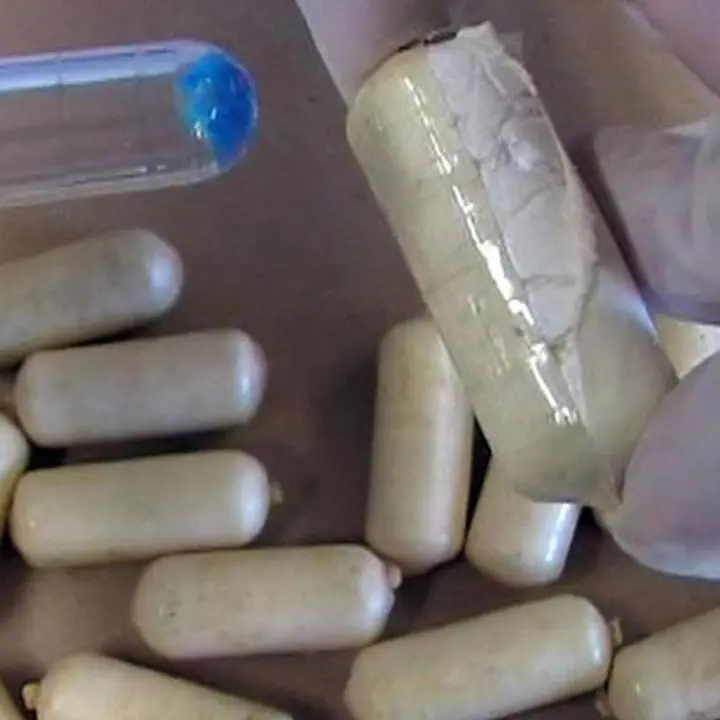 Operazione Crypto, la droga portata in Calabria con l’auto e ovuli ingeriti da una donna