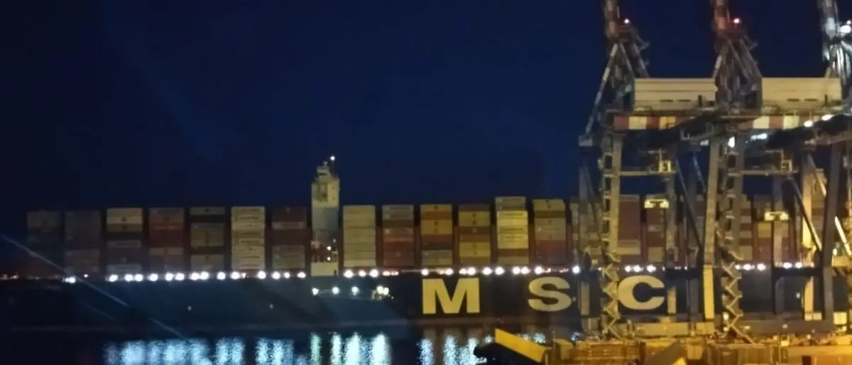 I “giganti del mare” a Gioia Tauro, la nave Gulsum entra nel porto anche di notte