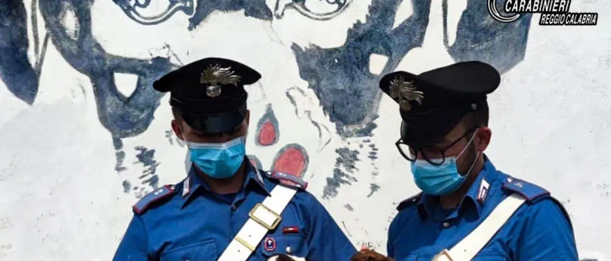 Abbandona 7 cuccioli appena nati nelle campagne di Brancaleone, denunciato