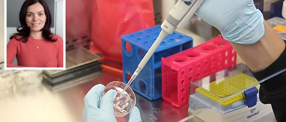 Studio sui tumori, premio internazionale per la ricercatrice calabrese Paola Neri