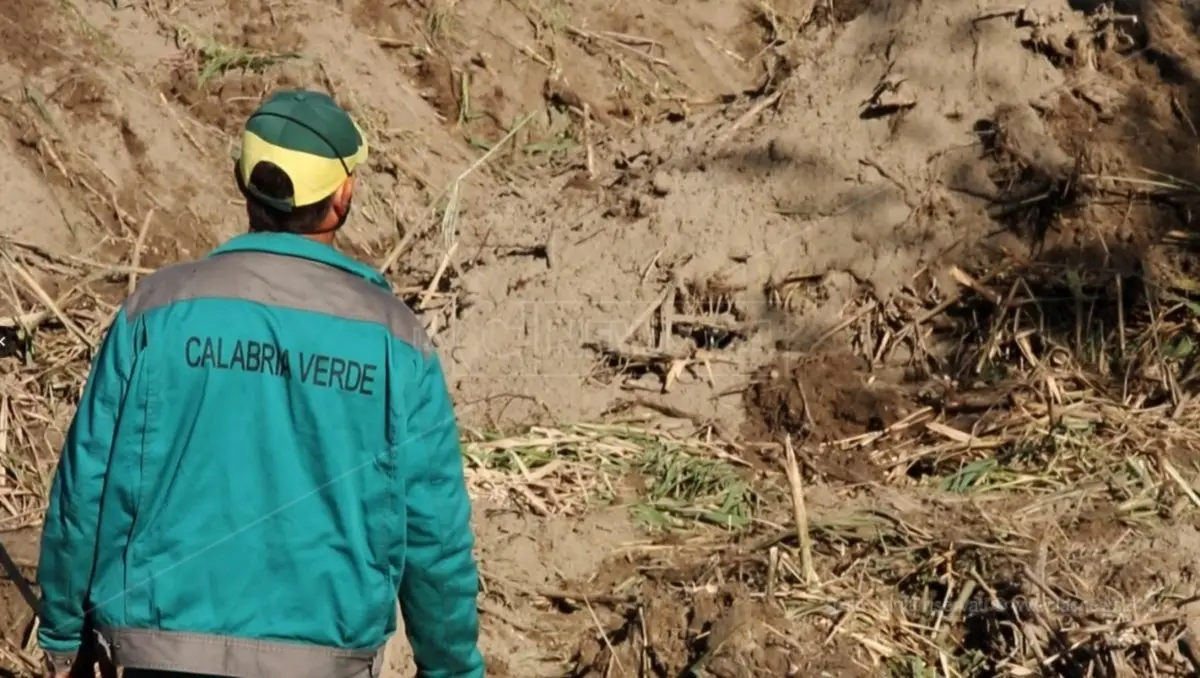 Calabria Verde sospende il bando per consulenti dopo le polemiche