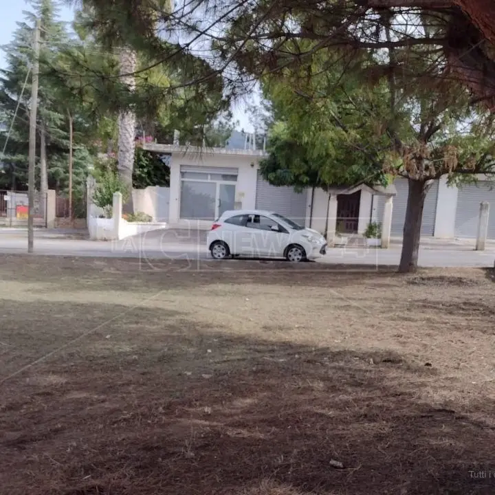 Scuola inagibile nel Vibonese, alunni trasferiti nei gazebo per fare lezione